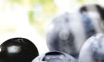 nieuws nouvelles thumbnail