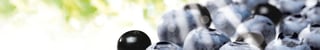 header nieuws nouvelles