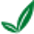 usp leaf