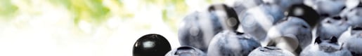 header nieuws nouvelles