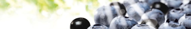 header nieuws nouvelles