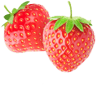 pickwick strawberry  1